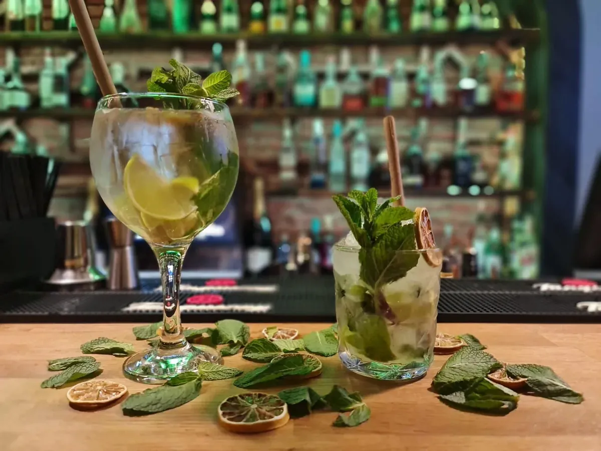 Gin tonic și mojito, cu mentă și lime uscat